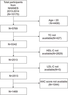 Gender-specific correlations between remnant cholesterol and severe abdominal aortic calcification in American adults